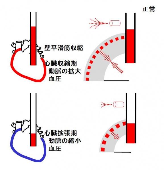 ファイル:01412-wb.jpg