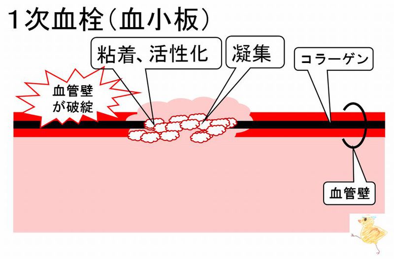 ファイル:03021.jpg