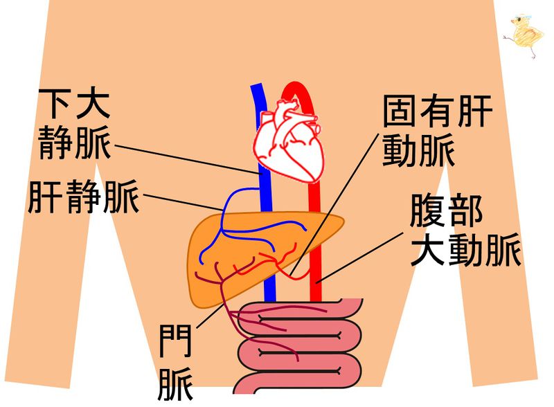 ファイル:03437.jpg