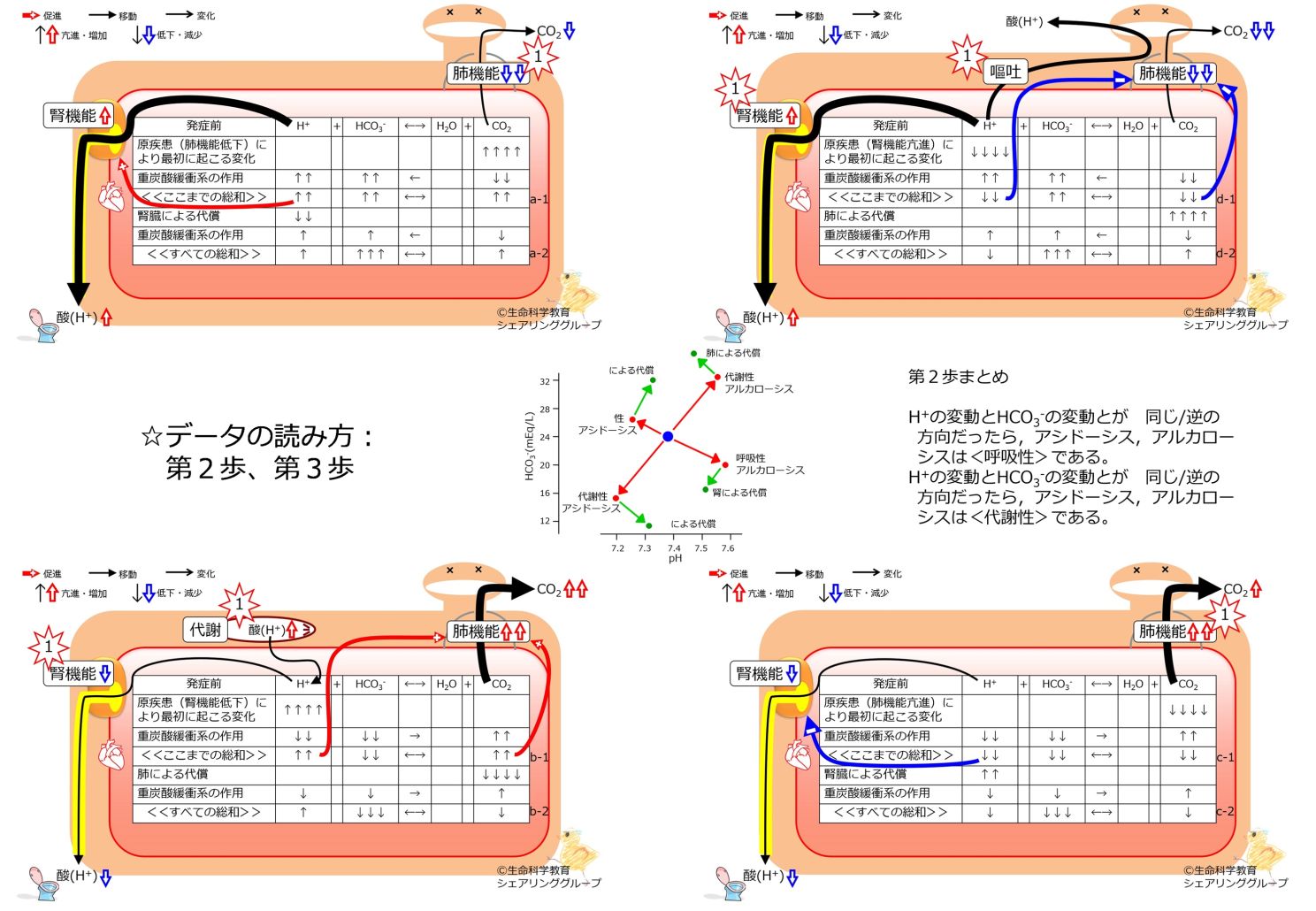 BicorboBasicBasicnateBufferDataSummaryーJpn.jpg