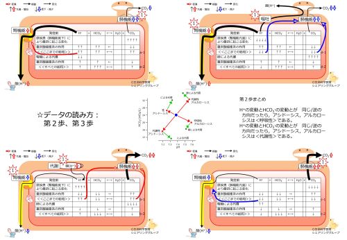 /wiki/images/thumb/e/e0/BicorboBasicBasicnateBufferDataSummary%E3%83%BCJpn.jpg/500px-BicorboBasicBasicnateBufferDataSummary%E3%83%BCJpn.jpg