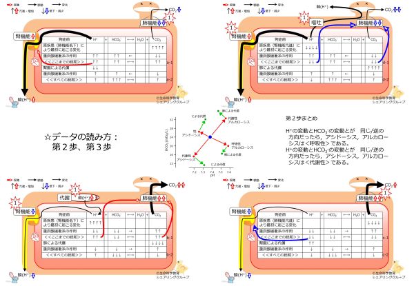 /wiki/images/thumb/e/e0/BicorboBasicBasicnateBufferDataSummary%E3%83%BCJpn.jpg/600px-BicorboBasicBasicnateBufferDataSummary%E3%83%BCJpn.jpg