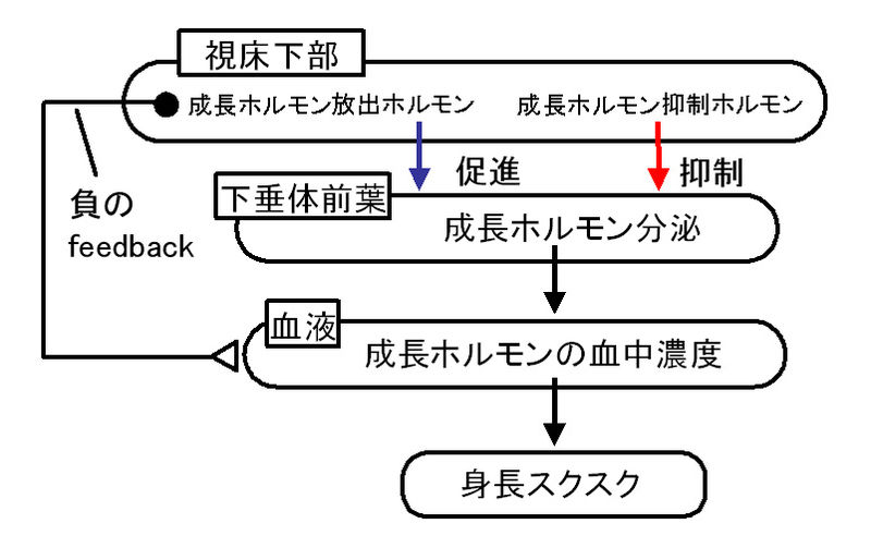 ファイル:00831.jpg