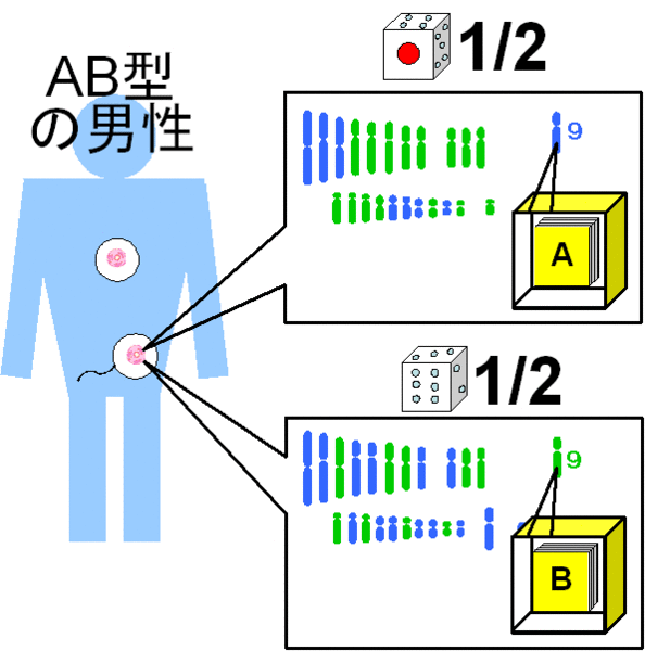 ファイル:01207.gif
