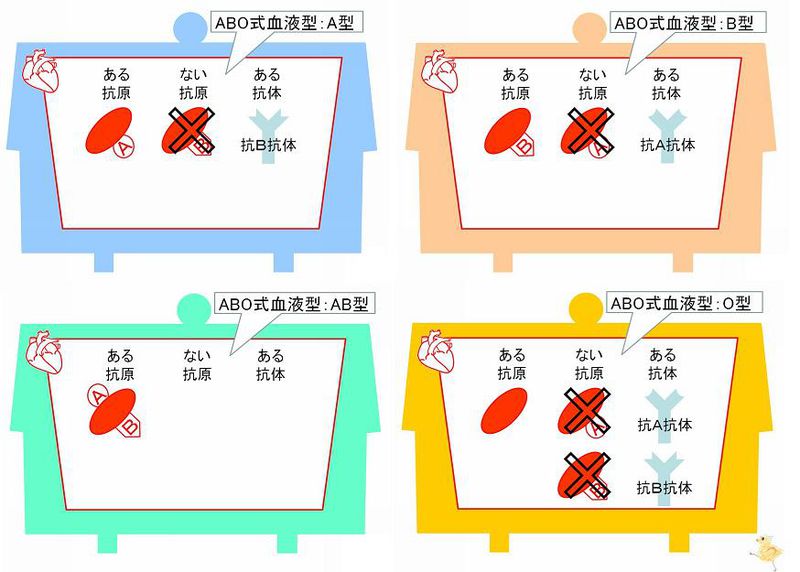 ファイル:02426.jpg