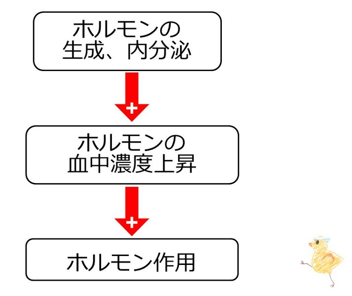 ファイル:03768.jpg