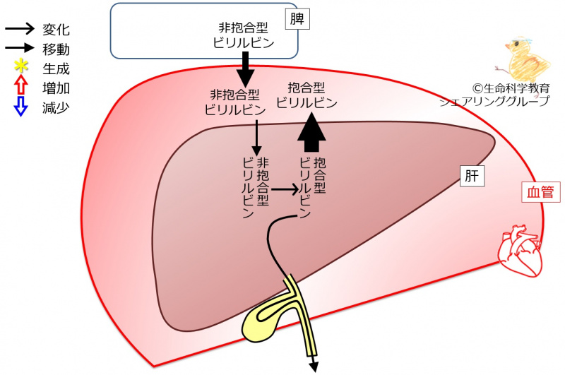 ファイル:03880-wb.jpg