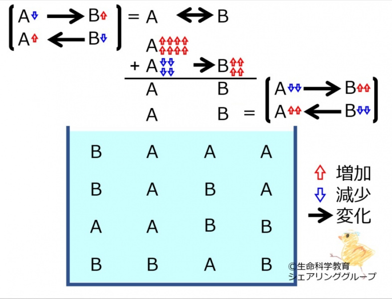 ファイル:ChemicalEquilibriumChangesByIncInMolA-4-wb.jpg