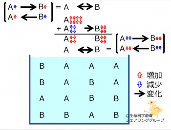 ChemicalEquilibriumChangesByIncInMolA-4.jpg