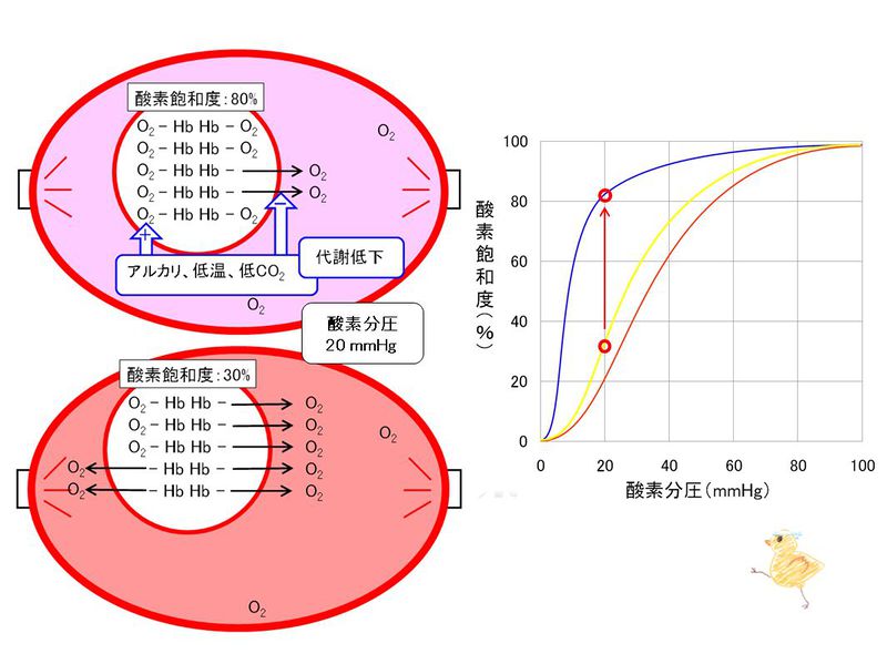 ファイル:03309.jpg