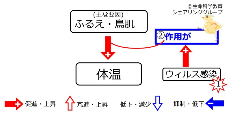 ファイル:Infection-wb.jpg