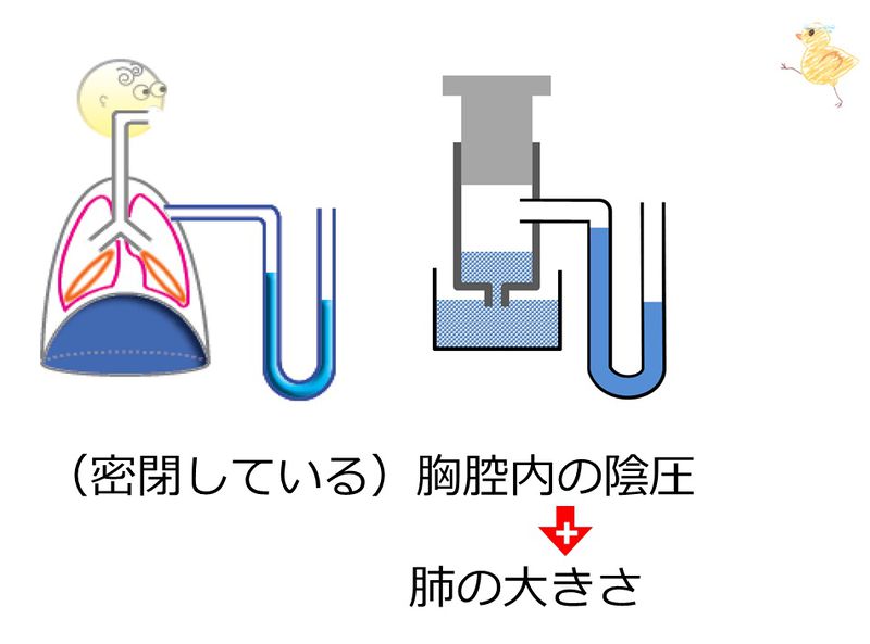 ファイル:03699.jpg