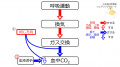 2021年3月17日 (水) 14:54時点における版のサムネイル