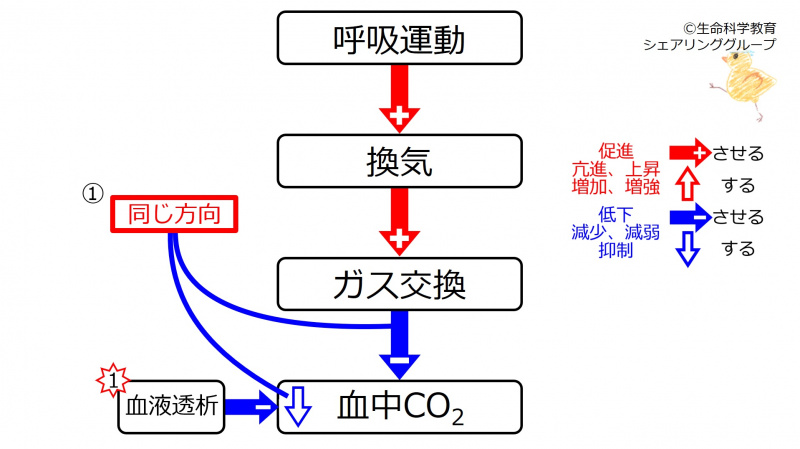 ファイル:DecCO2.jpg