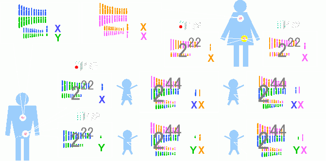 01170.gif