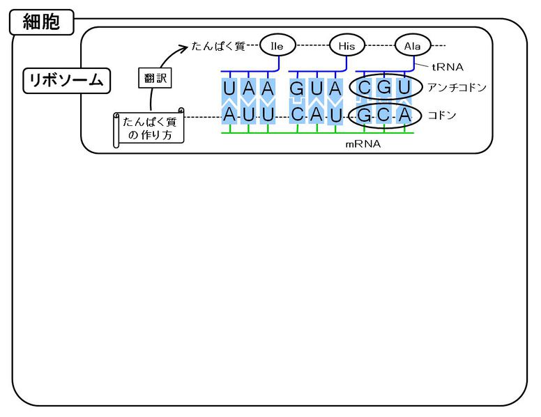 ファイル:02447.jpg
