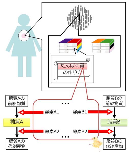 ファイル:04125.jpg