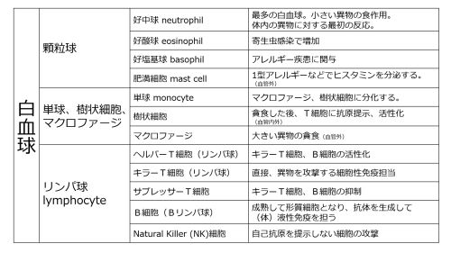 /wiki/images/thumb/e/e4/WBCclassificationTable-Jpn.jpg/500px-WBCclassificationTable-Jpn.jpg