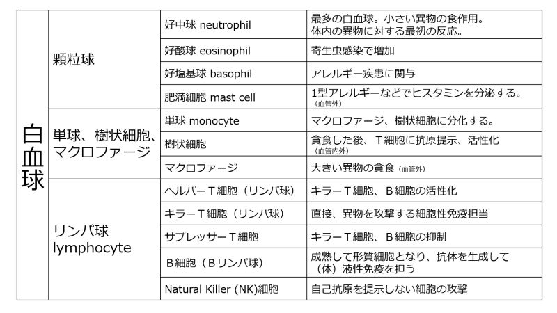 ファイル:WBCclassificationTable-Jpn.jpg