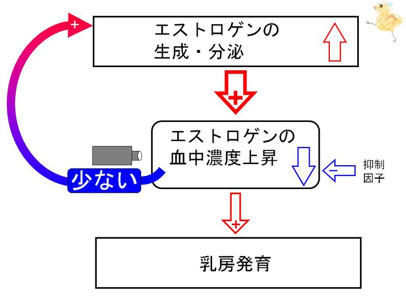 ファイル:00654.jpg