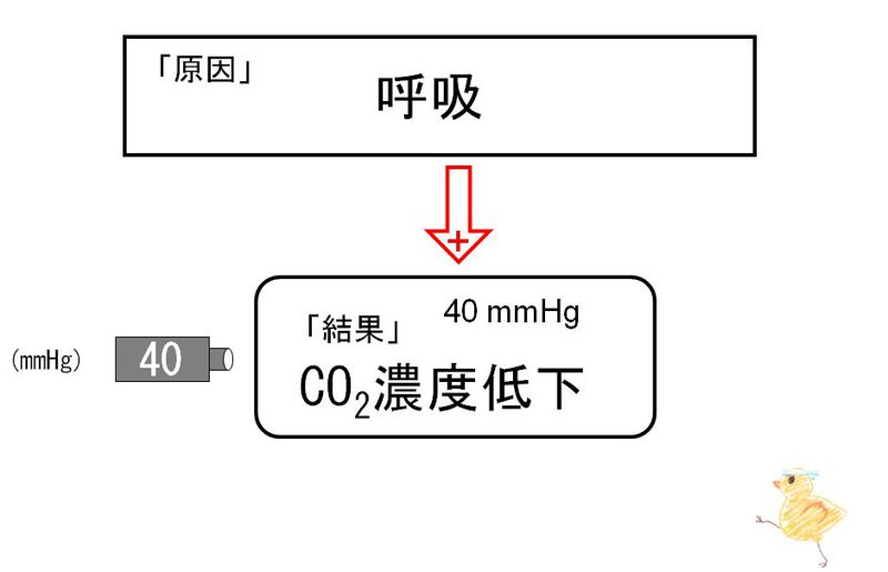 ファイル:02145.jpg