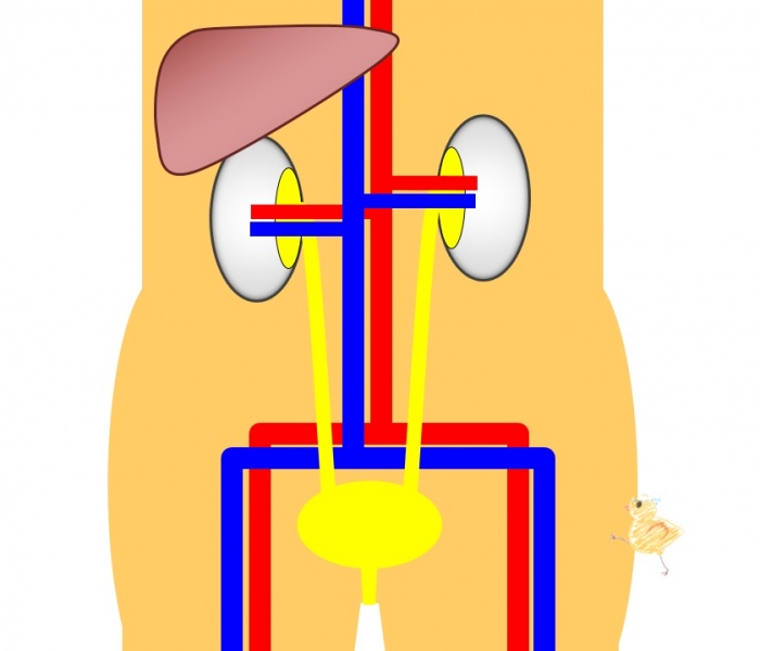 ファイル:04348-wb.jpg
