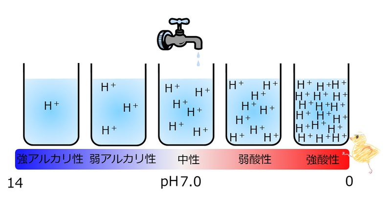 ファイル:04389.jpg
