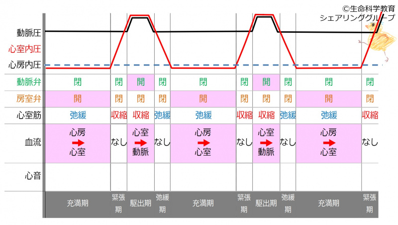 ファイル:HeardSoundInterval-wb.jpg