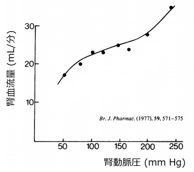 /wiki/images/thumb/e/e5/RBFautoregulation.jpg/400px-RBFautoregulation.jpg