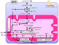 2014年4月2日 (水) 16:54時点における版のサムネイル