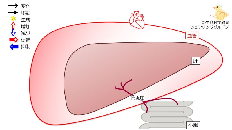ファイル:03979.jpg