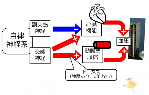 /wiki/images/thumb/e/e6/04536.jpg/500px-04536.jpg