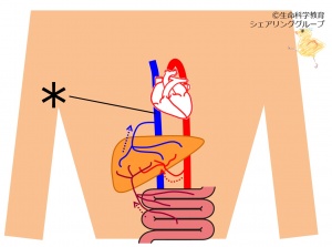 /wiki/images/thumb/e/e7/%E4%B8%8B%E5%A4%A7%E9%9D%99%E8%84%88_%E3%82%AF%E3%82%A4%E3%82%BA.jpg/300px-%E4%B8%8B%E5%A4%A7%E9%9D%99%E8%84%88_%E3%82%AF%E3%82%A4%E3%82%BA.jpg
