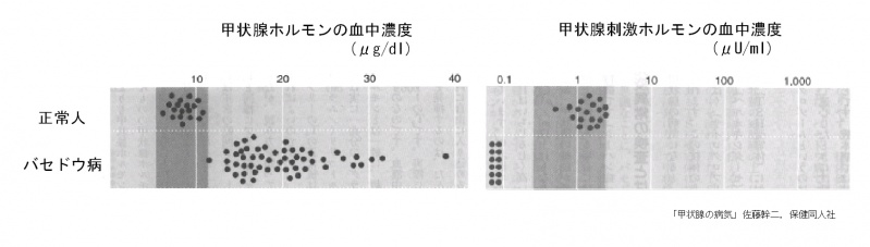 ファイル:00772.jpg