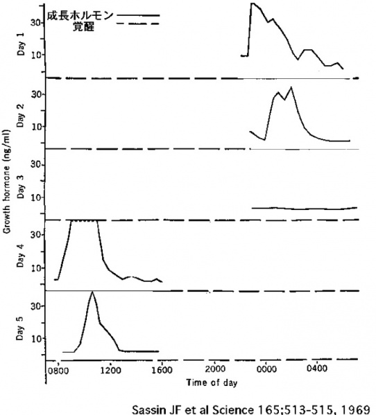 ファイル:00830-wb.jpg