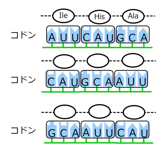 ファイル:Translation-intro-wb.jpg