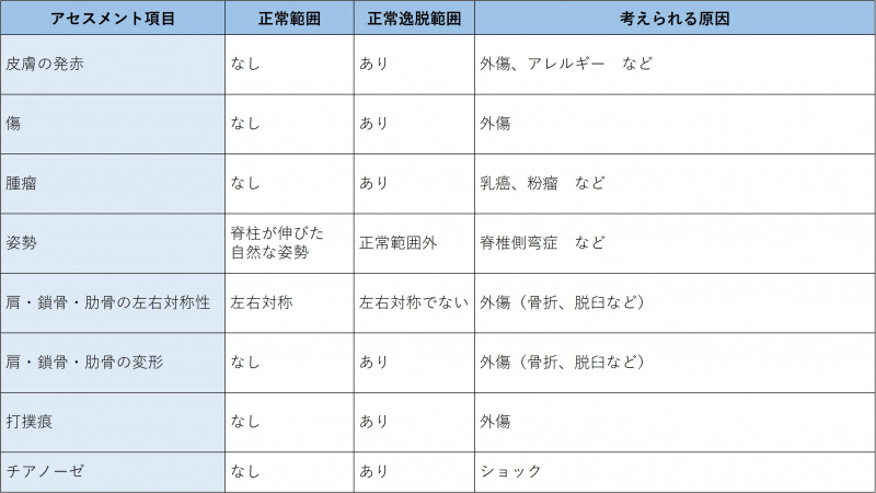 ファイル:表-胸部呼吸器-視診-胸部の外観の観察.jpg