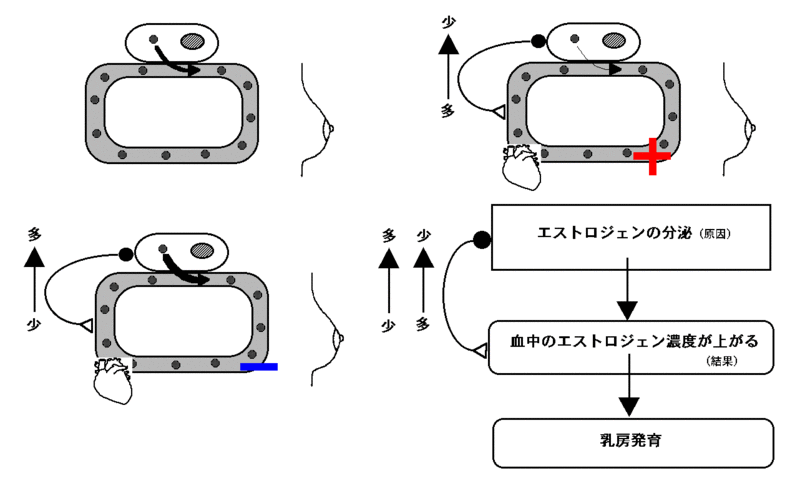 ファイル:00660.gif