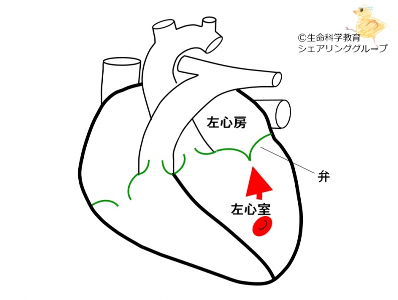 ファイル:01724.jpg