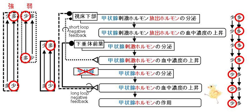 ファイル:01863.jpg