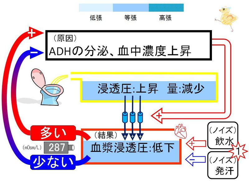 ファイル:02833.jpg