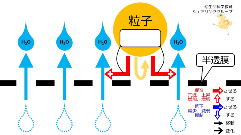 ファイル:OsmosisIntroSummary-Jpn-wb.jpg