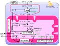 2014年4月2日 (水) 16:19時点における版のサムネイル