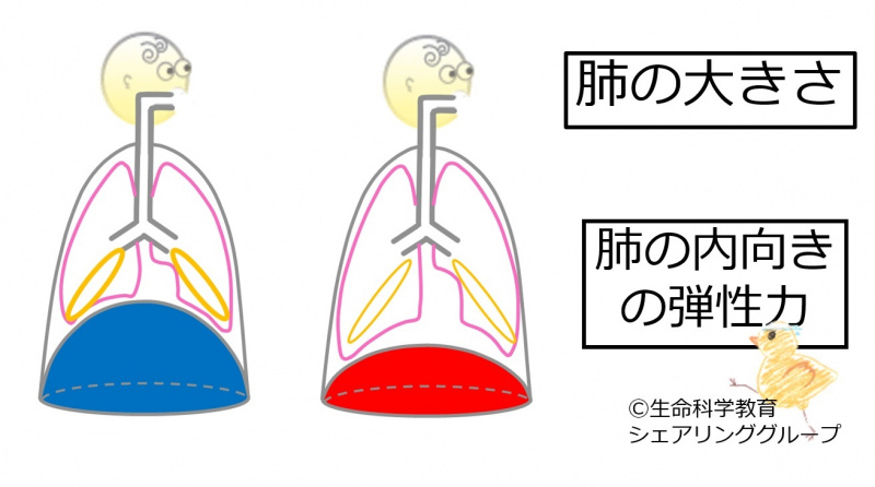 ファイル:04043-wb.jpg