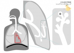 /wiki/images/thumb/e/ea/04153.jpg/250px-04153.jpg