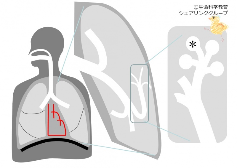 ファイル:04153.jpg