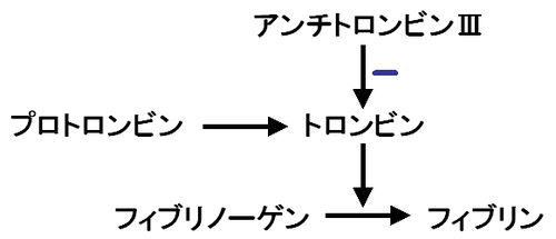 00520.jpg