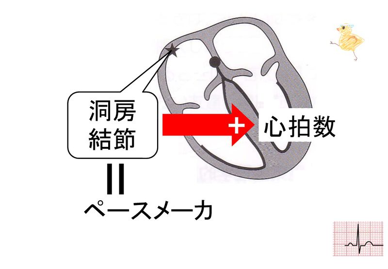 ファイル:03466.jpg