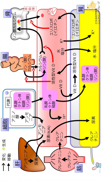 ファイル:03842Flipped-wb.jpg