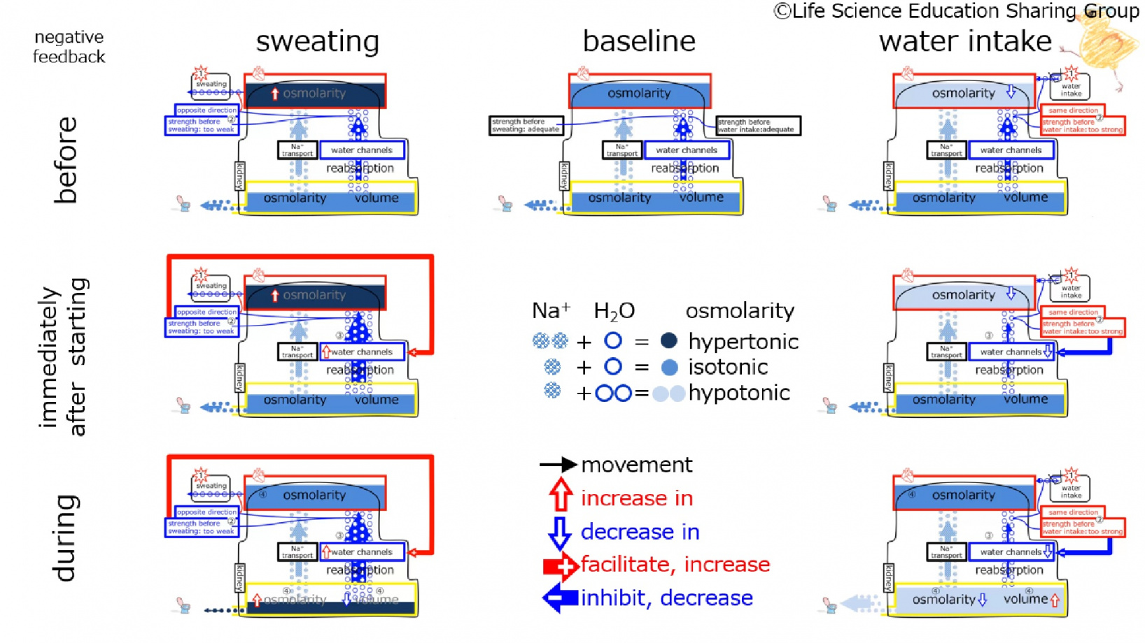ChannelControlSummary-Eng.jpg